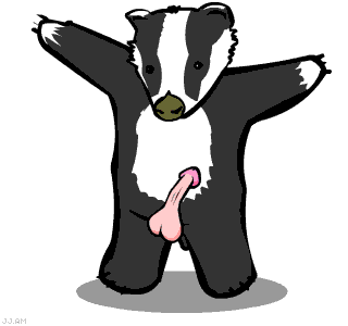 Badger meatspin