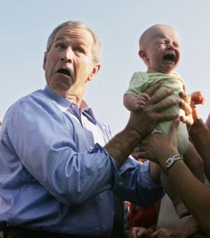 Bush with a baby