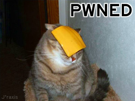 Cheese cat: Pwned