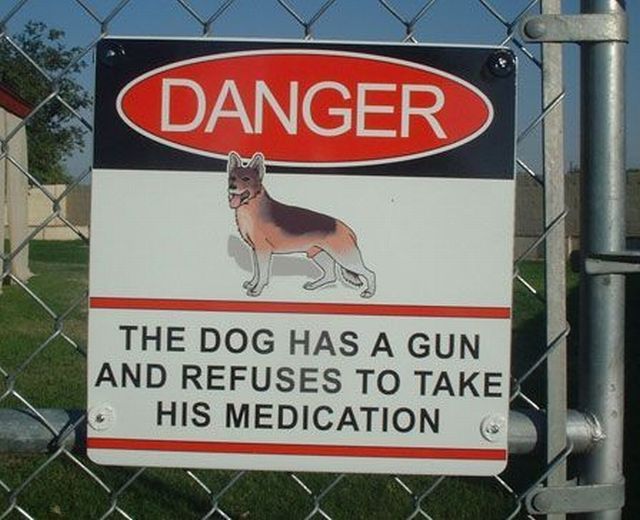 The dog has a gun