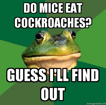 FBF: Mice and cockroaches
