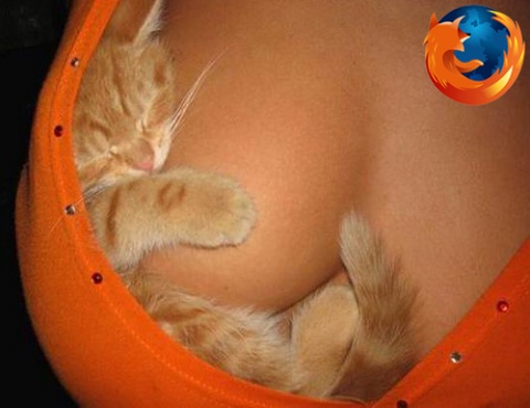 Firefox cat