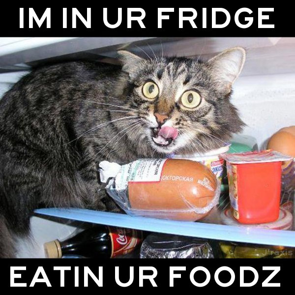 I’m in ur fridge, eatin’ ur foodz!