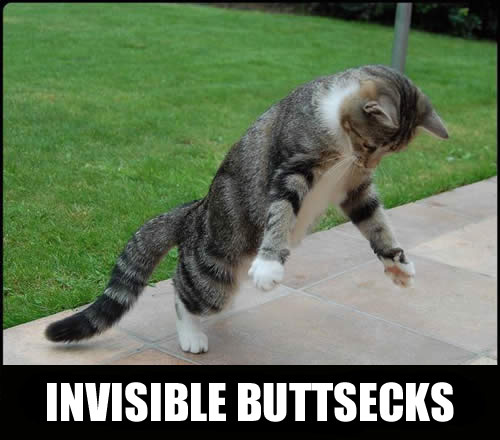 Invisible buttsecks