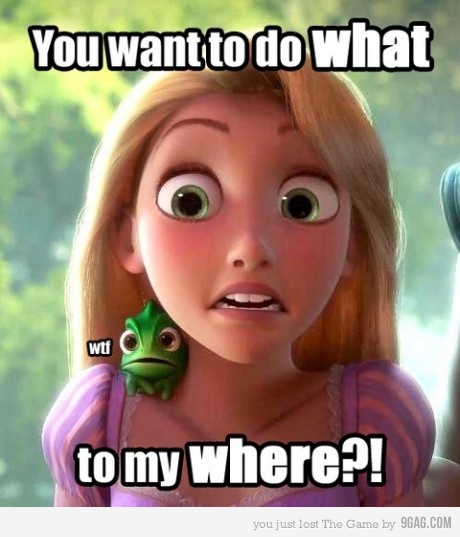 Rapunzel: You want to do what?!