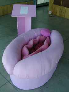 Vagina couch